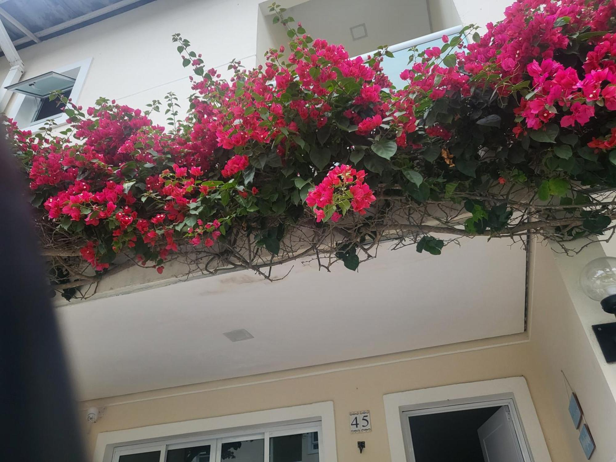 Villa Di Prado 주케이 외부 사진